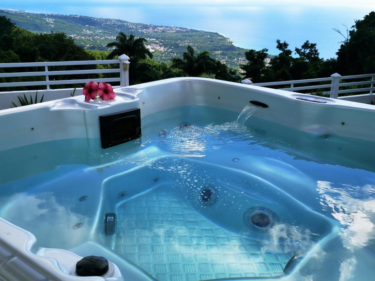 Belavue & Spa Prive, Avec Vue Panoramique Sur Mer, Jardin Creole Paysager, Jacuzzi Prive Буйант Экстерьер фото